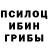 Галлюциногенные грибы Magic Shrooms N0Nsens