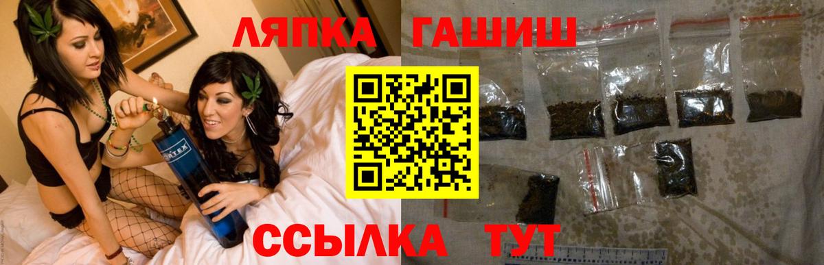 цены наркотик  Гашиш Cannabis  Дальнегорск  ГАШ 40% ТГК  Гашиш 