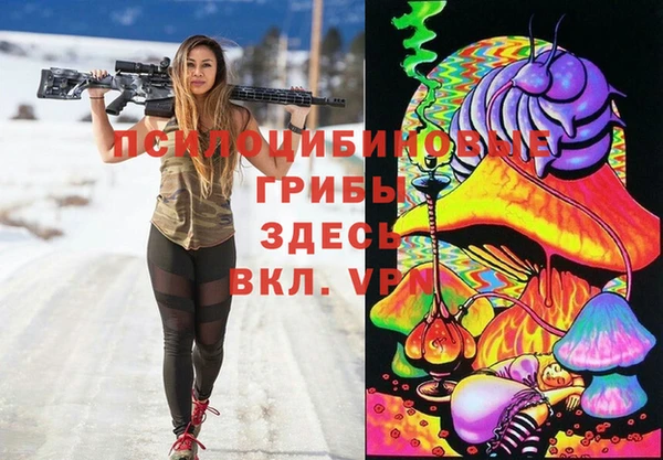 ПСИЛОЦИБИНОВЫЕ ГРИБЫ Балабаново