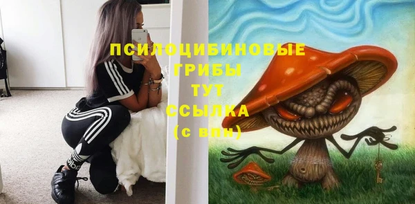 PSILOCYBIN Богородск