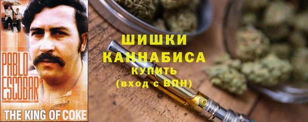 ПСИЛОЦИБИНОВЫЕ ГРИБЫ Балабаново